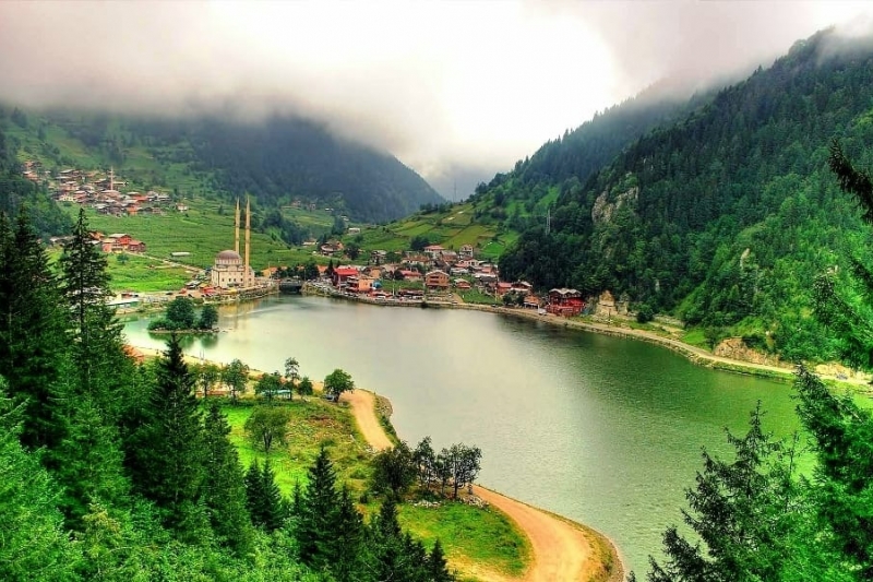 Karadeniz'in Kalbinde Doğayla İç İçe Tatil Deneyimi